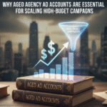 Why Aged Agency Ad Accounts Are Essential for Scaling High-Budget Campaigns
