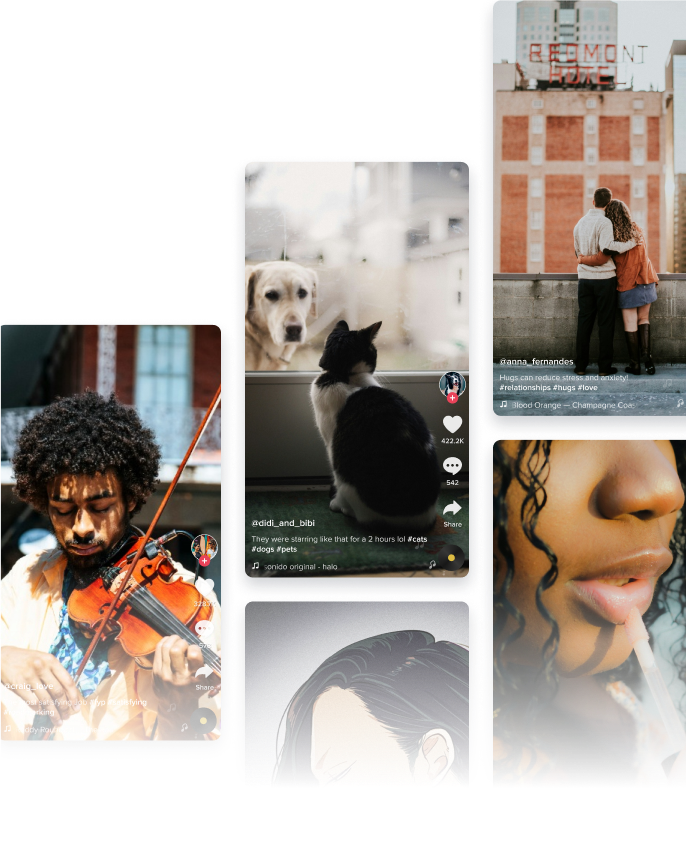 66c5e6f2bdef58524bee2edd Mm Tiktok